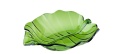 Granchio Miska akrylowa Tropical Leaf 18x22cm 88767